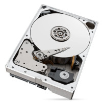 HD SEAGATE IRONWOLF PRO 10TB SATA3 3.5" 7200 RPM  256mb cache 24x7 - NAS HDD - ST10000NT001 - Gar. 5 anni ST10000NT001 SEGATE