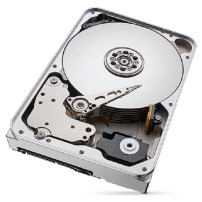 HD SEAGATE IRONWOLF PRO 12TB SATA3 3.5" 7200 RPM  256mb cache 24x7 - NAS HDD - ST12000NT001 - Gar. 5 anni ST12000NT001 SEGATE