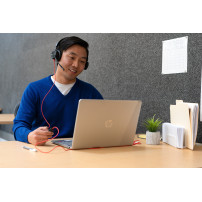 HP Poly Cuffie stereo Poly Blackwire 8225 con connettore USB-C + adattatore USB-C/A