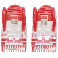 Intellinet 0.5m CAT6a S/FTP cavo di rete Rosso 0,5 m S/FTP (S-STP)