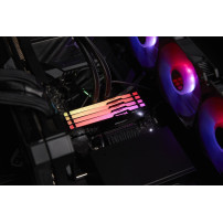 Kingston Technology FURY Beast 32 GB 5600 MT/s DDR5 CL36 DIMM (Kit da 2 moduli) RGB
