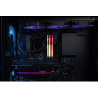 Kingston Technology FURY Beast 32 GB 5600 MT/s DDR5 CL36 DIMM (Kit da 2 moduli) RGB