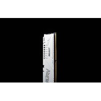 Kingston Technology FURY Beast 16GB 6000MT/s DDR5 CL30 DIMM White EXPO
