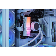 Kingston Technology FURY Beast 32 GB 5600 MT/s DDR5 CL36 DIMM (Kit da 2 moduli) White RGB EXPO