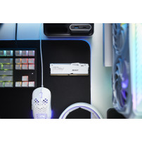 Kingston Technology FURY Beast 32 GB 5600 MT/s DDR5 CL36 DIMM (Kit da 2 moduli) White RGB EXPO