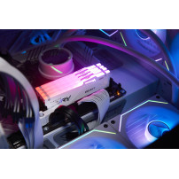 Kingston Technology FURY Beast 32 GB 5600 MT/s DDR5 CL36 DIMM (Kit da 2 moduli) White RGB EXPO