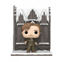 FUNKO POP REMUS LUPIN WITH SHRIEKING SHACK (65648) - HARRY POTTER - DELUXE - NUM.156 FUN65648