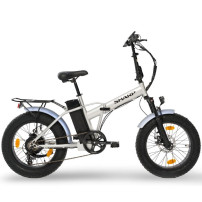 SHARP BK-FM01-ES - BICICLETTA ELETTRICA PIEGHEVOLE FAT E-BIKE (SILVER) - RUOTE 20""X4"" - MOTORE 250W - BATTERIA 36V 10AH - TELA