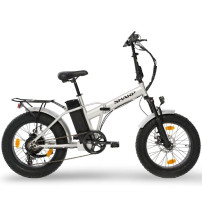 SHARP BK-FM03-ES - BICICLETTA ELETTRICA PIEGHEVOLE FAT E-BIKE (SILVER) - RUOTE 20""X4"" - MOTORE 250W - BATTERIA 48V 13AH - TELA