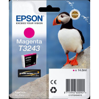 Epson T3243 magenta Cartuccia d'inchiostro (C13T32434010)