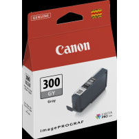 Canon PFI-300gy Grigio Cartuccia d'inchiostro (4200C001)