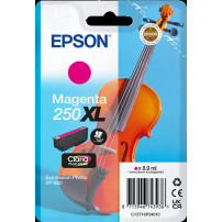 Epson 250 XL magenta Cartuccia d'inchiostro (C13T16P34010)