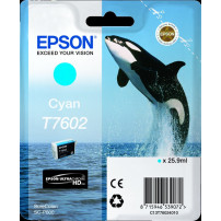 Epson T7602 ciano Cartuccia d'inchiostro (C13T76024010)