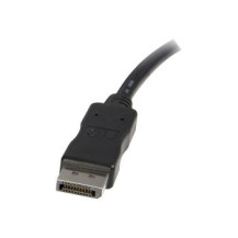 StarTech.com Cavo convertitore adattatore 3 m da DisplayPort a DVI - M/M - 3 m - DisplayPort - DVI-D - Maschio - Maschio - Dritt