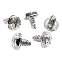 StarTech.com Vite di sostituzione per il montaggio del PC 6-32x1/4 UNC - 50 pezzi - Vite lunghe - Kit di viti - Argento - 0,6 cm