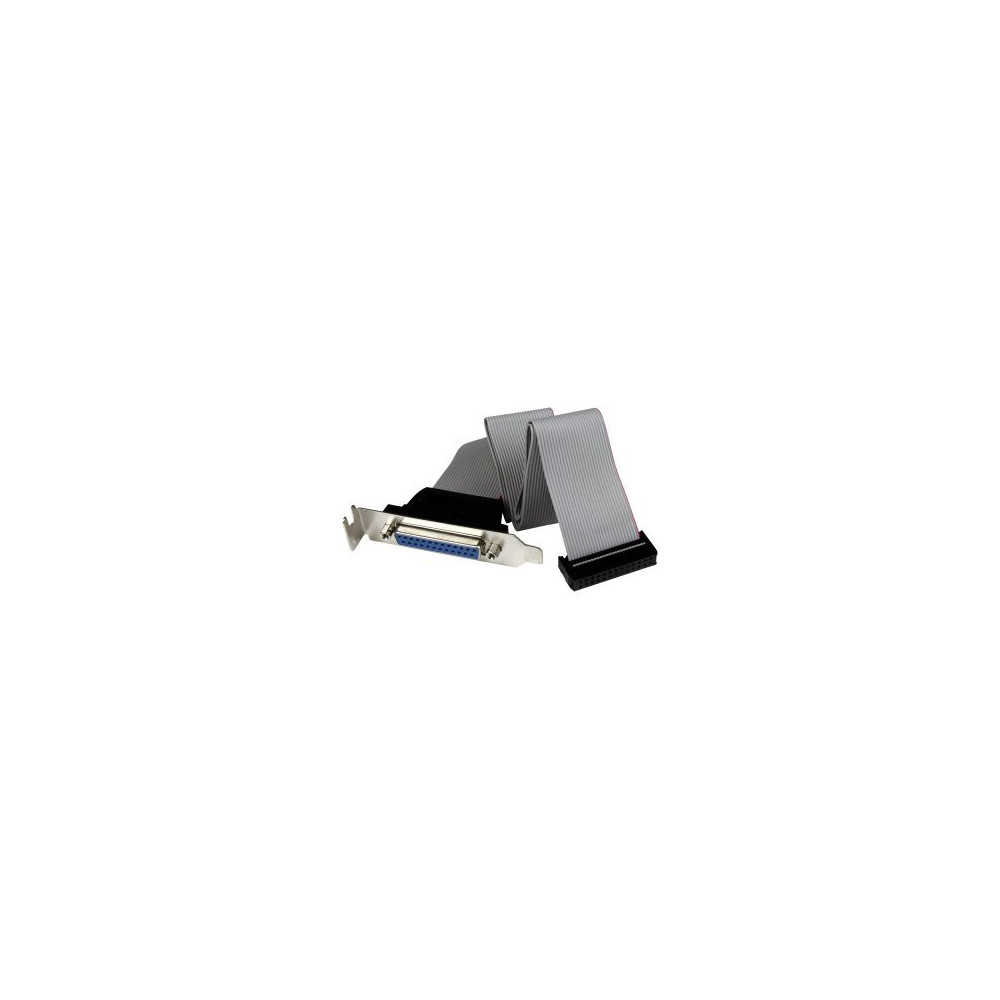 StarTech.com Adattatore cavo collettore porta parallela 40 cm basso profilo con staffa – DB25 (F) a IDC26 - DB-25 25 pin D-Sub -