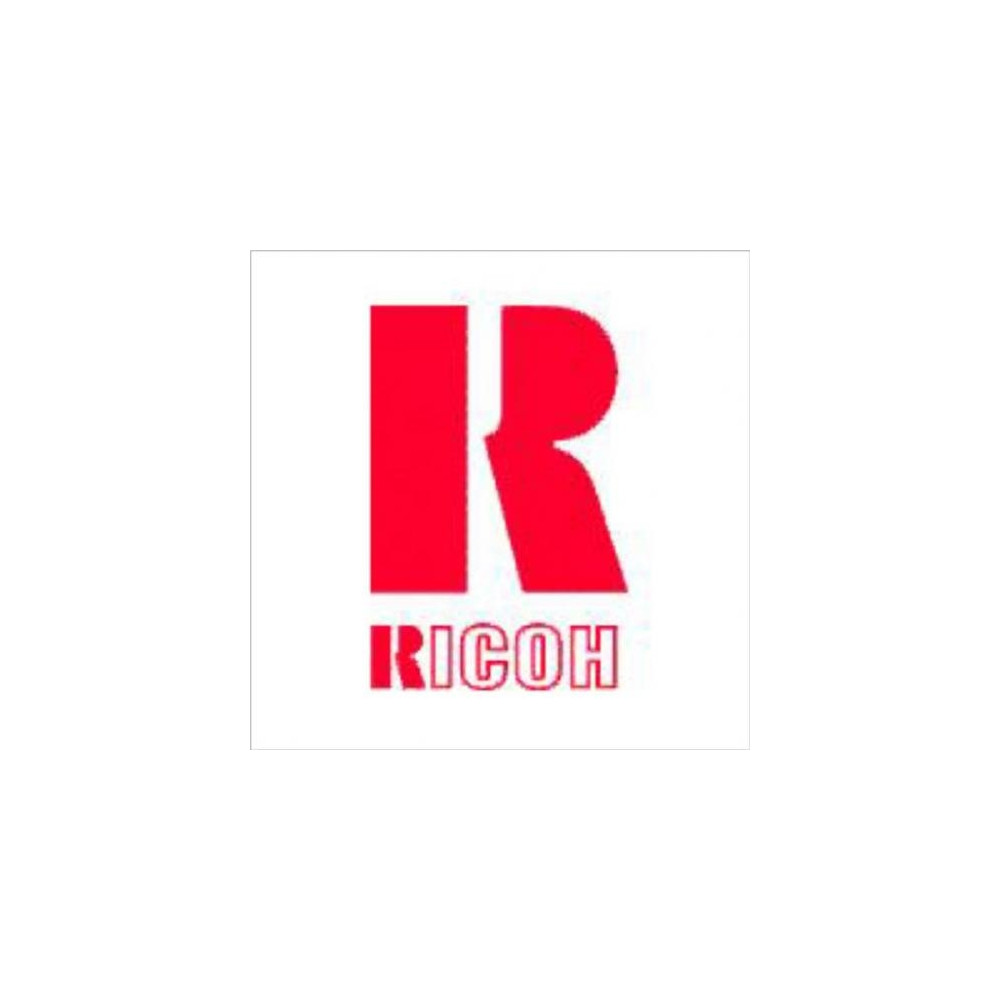 RICOH B21/84 412874 PUNTI PINZATRICE