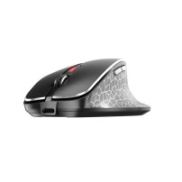 Mouse Cherry MW 8C ERGO - (JW-8600)- ergonomisch - optisch - 6 Tasten - kabellos - 2.4 GHz, Bluetooth 4.0 - kabelloser Empfänger