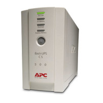 APC Back-UPS 500 USV BK500EI Wechselstrom 230V