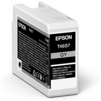 ORIGINAL Epson Cartuccia d'inchiostro Grigio C13T46S700 T46S7 25ml