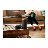 Philips TAS7505/00 altoparlante portatile e per feste Altoparlante portatile mono Grigio 30 W