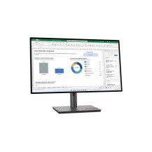 Lenovo ThinkVision P27h-30 LED display 68,6 cm (27") 2560 x 1440 Pixel Quad HD LCD Nero