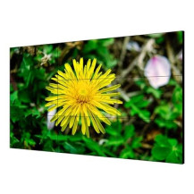 HIKVISION VIDEOWALL 55", 1080P, 500cd/mq-bezelwidth:1.8mm,Input: VGA/DVI/DP/HDMI, output: DP/HDMI, support 4K input - VESA DS-D2