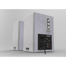 Casse EMPIRE WB-100MIC-W 100 Watt, Ingresso MIC e Porta USB per la ricarica - Colore Bianco WB.100MIC-W EMPIRE