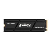 Kingston Technology 1000G RENEGADE PCIe 4.0 NVMe SSD W/ Dissipatore di calore
