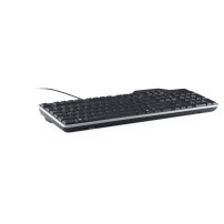 DELL Tastiera Pro Smartcard - KB813 - Inglese (Stati Uniti internazionale) (QWERTY)