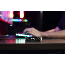 Kingston Technology 8T FURY RENEGADE G5 M.2 2280 NVMe SSD
