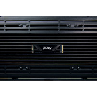 Kingston Technology 8T FURY RENEGADE G5 M.2 2280 NVMe SSD