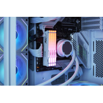 Kingston Technology FURY Beast 64GB 6000MT/s DDR5 CL30 DIMM (Kit da 2 moduli) White RGB EXPO