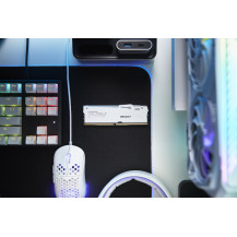 Kingston Technology FURY Beast 16GB 6000MT/s DDR5 CL30 DIMM White RGB EXPO