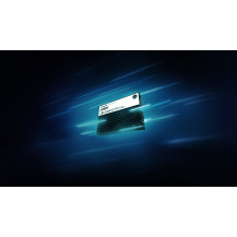 Kingston Technology 7.68TB DC3000ME U.2 PCIe 5.0 NVMe TCG Opal SSD Enterprise