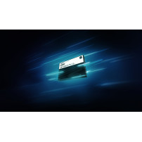 Kingston Technology 7.68TB DC3000ME U.2 PCIe 5.0 NVMe TCG Opal SSD Enterprise