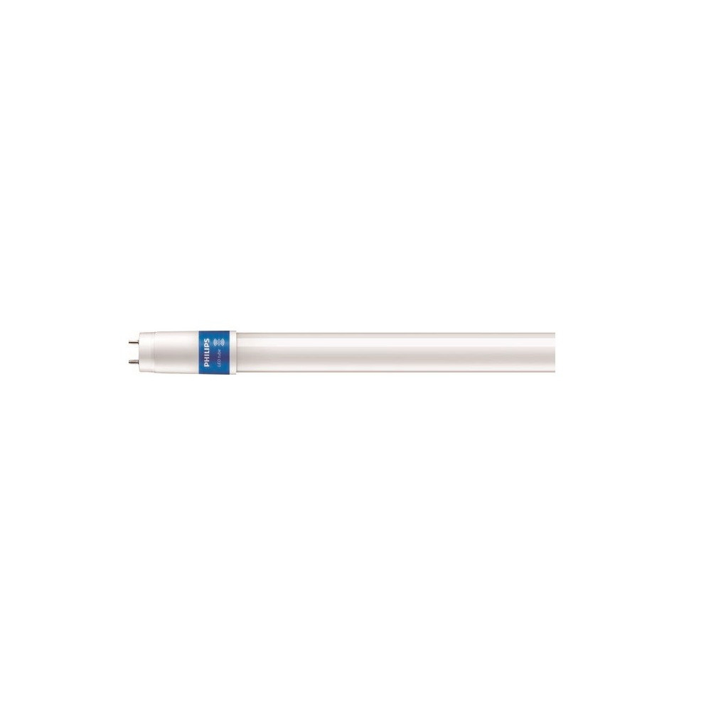 Philips Master lampada LED 6500 K 24 W G13
