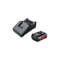 Bosch F016800609 batteria e caricabatteria per utensili elettrici Set batteria e caricabatterie