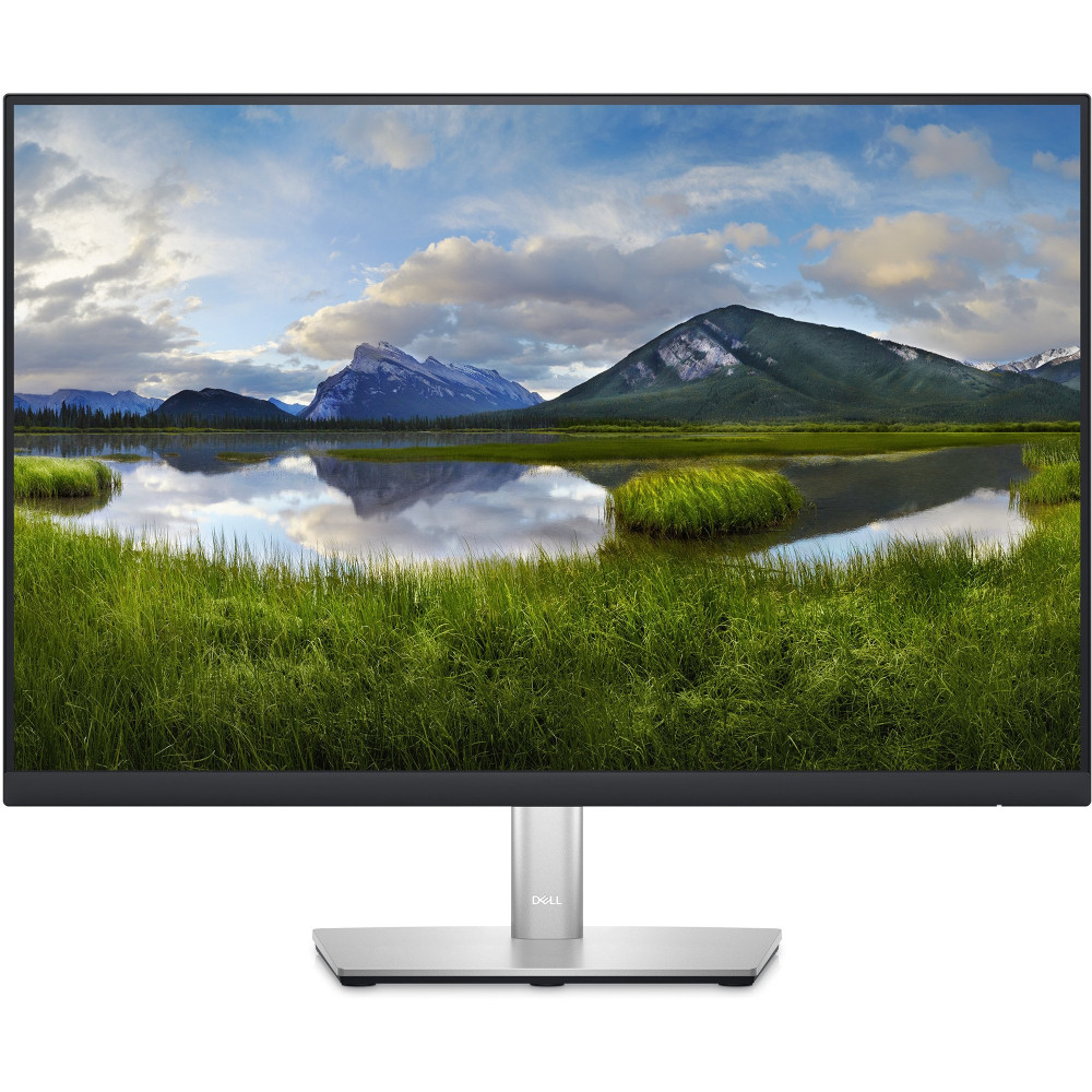 Dell Dell P2423 ricondizionato, Monitor LED