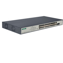 Digitus Switch Fast Ethernet PoE a 24 porte, Interruttore