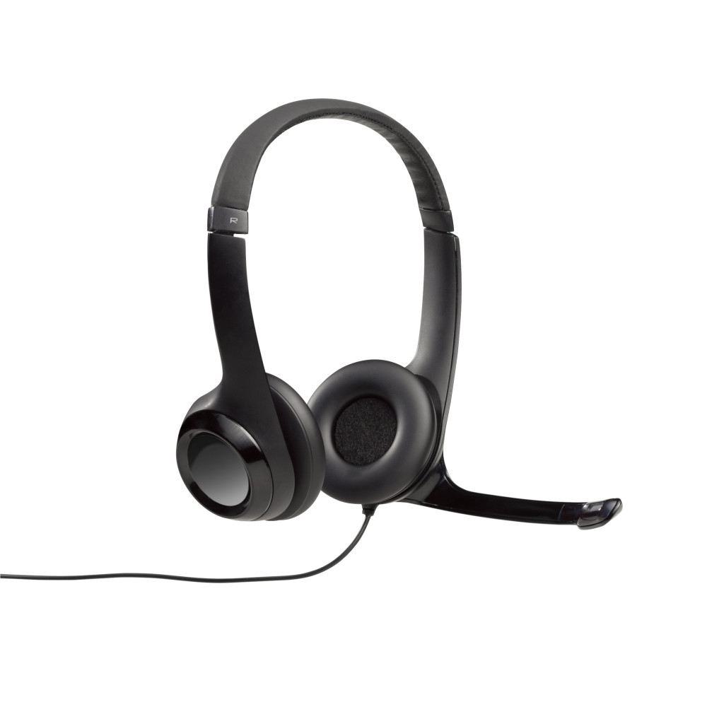 CUFFIA CON MICROFONO USB H390 HEADSET