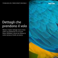 Xerox Cartuccia toner Nero a Alta capacità da 31400 Pagine per Stampante a colori ® VersaLink® C9000 (106R04081)