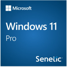Windows 11 Pro 64Bit Eng Intl 1pk DSP OEI DVD