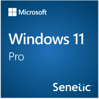 Windows 11 Pro 64Bit Eng Intl 1pk DSP OEI DVD