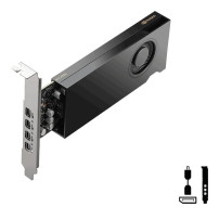 PNY NVIDIA RTX 2000E Ada Generazione Low Profile Versione OEM VCNRTX2000EADA-SB