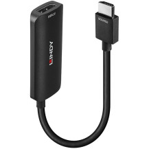 Lindy 38329 cavo e adattatore video 0,157 m HDMI tipo A (Standard) DisplayPort Nero, Convertitore