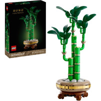 LEGO Botanicals Bambù del buon auspicio, Giochi di costruzione