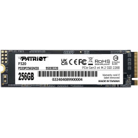 Patriot P320 256GB, Disco a stato solido