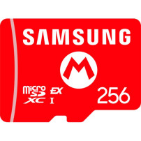 Samsung 10016156 memoria flash 256 GB MicroSDXC, Scheda di memoria