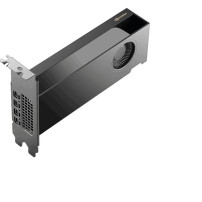 PNY NVIDIA RTX PRO 2000 Blackwell Generation 16GB PB, Scheda grafica